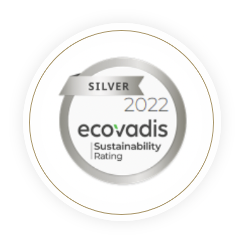 silver 2022 ecovadis