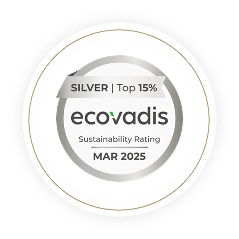 silver 2025 ecovadis